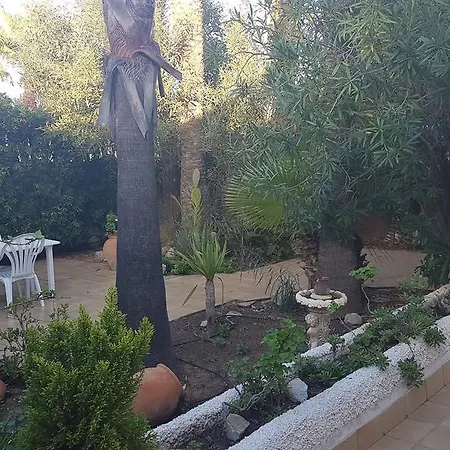 Apartamento Alquiler Y Venta El Pedruchillo